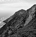 Point Reyes II BW Photograph by David Gordon Point Reyes II BW Photograph by David Gordon