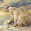 Polar Bear Rests On The Ice - Arctic Alaska by Svitozar Nenyuk Polar Bear Rests On The Ice - Arctic Alaska by Svitozar Nenyuk
