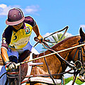 Polo Swing Photograph by Alice Gipson Polo Swing Photograph by Alice Gipson