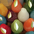 Polychromatic Pears Photograph by Rick Locke - Out of the Corner of My Eye Polychromatic Pears Photograph by Rick Locke - Out of the Corner of My Eye