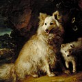 Pomeranian Bitch and Puppy Painting by Thomas Gainsborough Pomeranian Bitch and Puppy Painting by Thomas Gainsborough