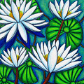 Pond Jewels by Lisa Lorenz Pond Jewels by Lisa Lorenz
