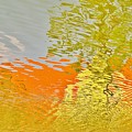 Pond Reflection Photograph by Merle Grenz Pond Reflection Photograph by Merle Grenz
