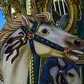 Pony Carrsouel Portrait by Garry Gay Pony Carrsouel Portrait by Garry Gay