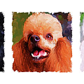 Poodle Trio Painting by Jai Johnson