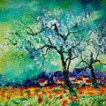 Poppies and appletrees in blossom by Pol Ledent Poppies and appletrees in blossom by Pol Ledent