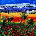 Poppies in Provence Painting by Pol Ledent Poppies in Provence Painting by Pol Ledent