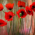 Poppies Painting by Ivana Westin Poppies Painting by Ivana Westin