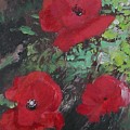 Poppies by Lizzy Forrester Poppies by Lizzy Forrester
