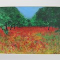 Poppy Field In Ibiza by Lizzy Forrester Poppy Field In Ibiza by Lizzy Forrester