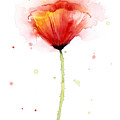 Poppy Watercolor Red Abstract Flower Painting by Olga Shvartsur Poppy Watercolor Red Abstract Flower Painting by Olga Shvartsur