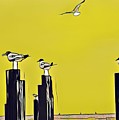 Port A by Cherylene Henderson Port A by Cherylene Henderson