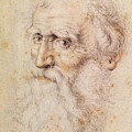 Portrait Of A Bearded Old Man by Albrecht Durer or Duerer Portrait Of A Bearded Old Man by Albrecht Durer or Duerer