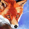 Portrait of a Fox Digital Art by Norman Klein Portrait of a Fox Digital Art by Norman Klein
