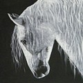 Power Horse Painting by Terry Honstead Power Horse Painting by Terry Honstead