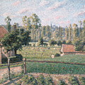 Prairie At Eragny, 1889 by Camille Pissarro Prairie At Eragny, 1889 by Camille Pissarro