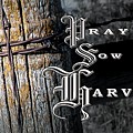 Pray Sow Harvest Photograph by Troy Stapek Pray Sow Harvest Photograph by Troy Stapek