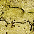 Prehistoric Bison 1- La Covaciella Digital Art by Weston Westmoreland Prehistoric Bison 1- La Covaciella Digital Art by Weston Westmoreland
