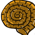 Prehistoric Shell Digital Art by Piotr Dulski Prehistoric Shell Digital Art by Piotr Dulski