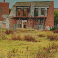 Preservation by E Colin Williams ARCA