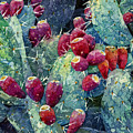Prickly Pear 2 Painting by Hailey E Herrera Prickly Pear 2 Painting by Hailey E Herrera