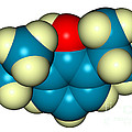 Propofol Diprivan Molecular Model Photograph by Scimat Propofol Diprivan Molecular Model Photograph by Scimat