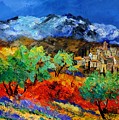 Provence 790050 by Pol Ledent Provence 790050 by Pol Ledent