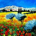 Provence by Pol Ledent Provence by Pol Ledent
