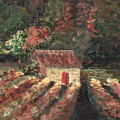 Provence Vineyard by Nadine Rippelmeyer Provence Vineyard by Nadine Rippelmeyer