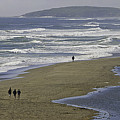 Pt. Reyes Photograph by Joyce Creswell