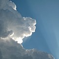 Puffy White Clouds by Liz Vernand Puffy White Clouds by Liz Vernand