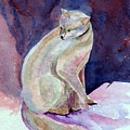 Purple Cat by Susan Kubes Purple Cat by Susan Kubes