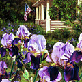 Purple Irises Painting by Marie Witte Purple Irises Painting by Marie Witte