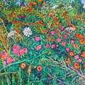 Queen Annes Lace Painting by Kendall Kessler Queen Annes Lace Painting by Kendall Kessler