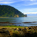 Quiet Bay by Marty Koch Quiet Bay by Marty Koch