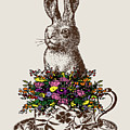 Rabbit In A Teacup by Eclectic at HeART Rabbit In A Teacup by Eclectic at HeART