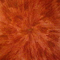 Radiation with Brown Yellow and Voilet by Dean Triolo Radiation with Brown Yellow and Voilet by Dean Triolo