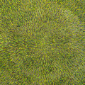 Radiation with Green with Yellow by Dean Triolo Radiation with Green with Yellow by Dean Triolo