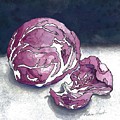 Radicchio After Dark by Maria Hunt