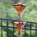 Rain Chains Photograph by D K Wall Rain Chains Photograph by D K Wall