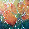 Rainbow Memory by Joan Clear