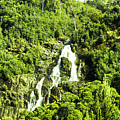 Rainforest Rapids by Jorgo Photography - Wall Art Gallery Rainforest Rapids by Jorgo Photography - Wall Art Gallery