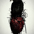 Raven and Heart Grenade Digital Art by Nicklas Gustafsson Raven and Heart Grenade Digital Art by Nicklas Gustafsson