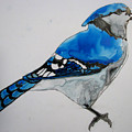 Ready Blue Painting by Patricia Arroyo Ready Blue Painting by Patricia Arroyo