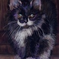 Ready for Trouble by Sharon E Allen Ready for Trouble by Sharon E Allen