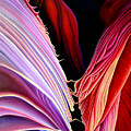 Rebirth Painting by Anni Adkins Rebirth Painting by Anni Adkins
