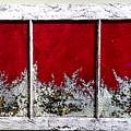 Red and White Widow # 2 Mixed Media by Christopher Schranck Red and White Widow # 2 Mixed Media by Christopher Schranck