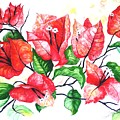 Red Bouganvillia by Karin Dawn Kelshall- Best Red Bouganvillia by Karin Dawn Kelshall- Best
