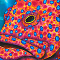 Red Coral Grouper Painting by Daniel Jean-Baptiste Red Coral Grouper Painting by Daniel Jean-Baptiste