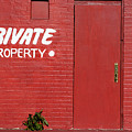 Red Photograph by DArcy Evans Red Photograph by DArcy Evans